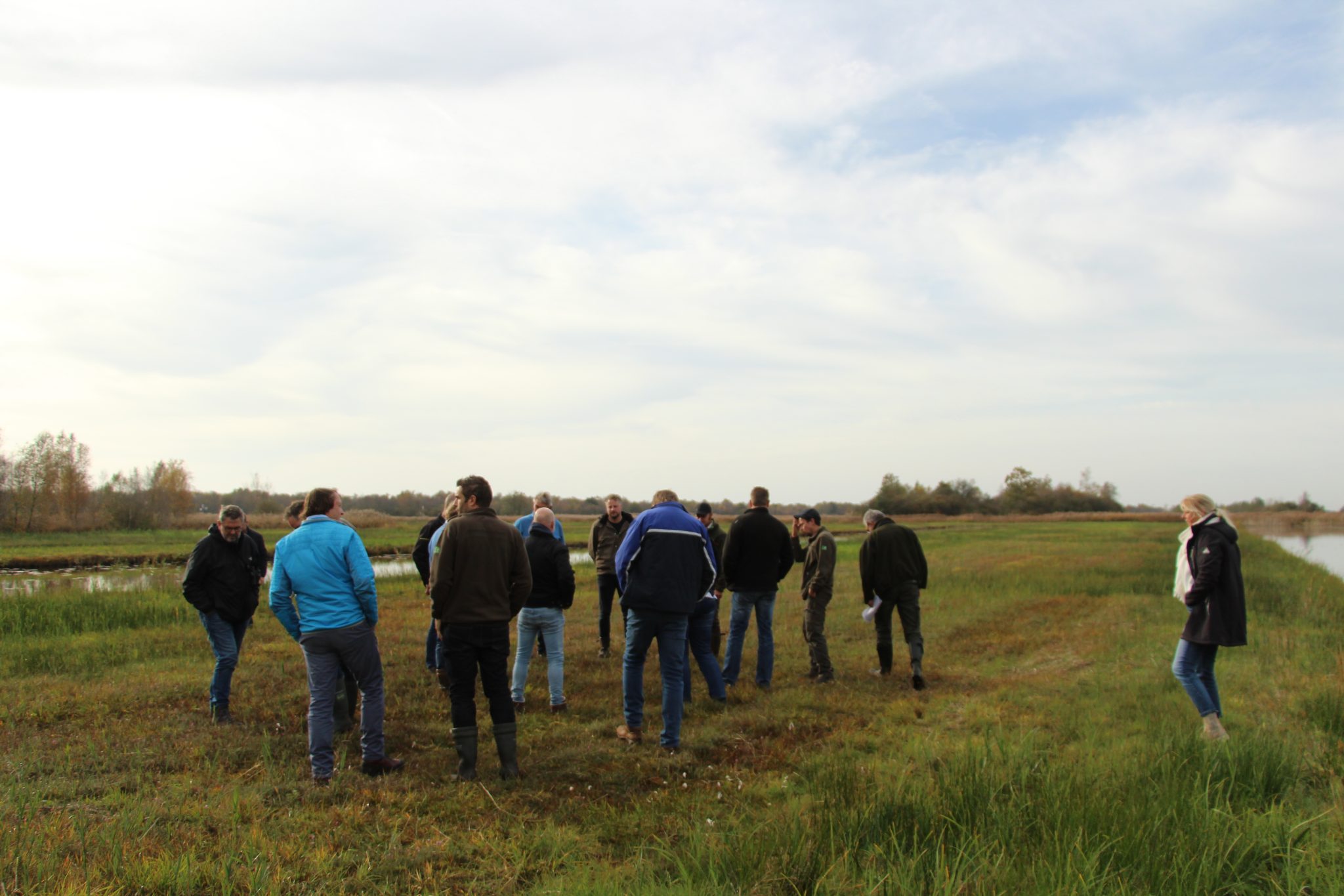 Pilot Baarlingerpolder np weerribbenwieden