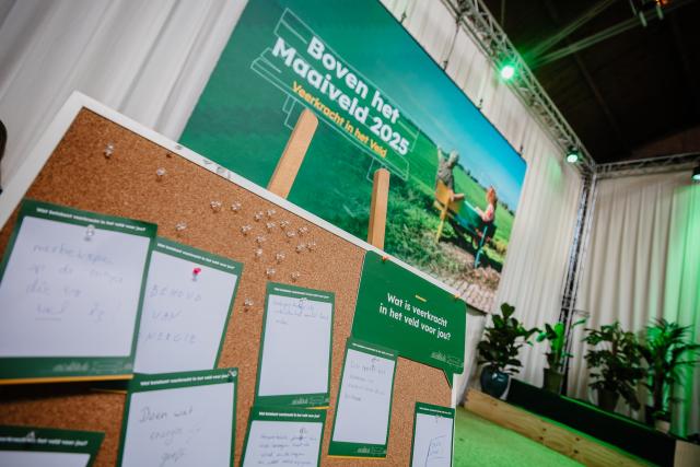 boven het maaiveld 2025 de meent met quotes